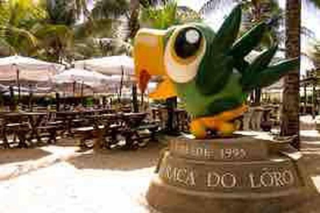 Pe Na Areia Vista Total Mar - O Paraiso E Aqui! Salvador Exteriör bild